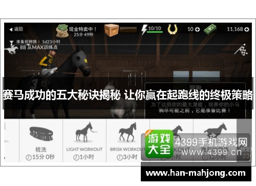 赛马成功的五大秘诀揭秘 让你赢在起跑线的终极策略