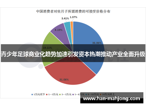 青少年足球商业化趋势加速引发资本热潮推动产业全面升级 青少年足球商业化趋势加速引发资本热潮推动产业全面升级