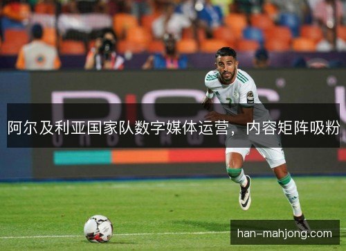 阿尔及利亚国家队数字媒体运营，内容矩阵吸粉